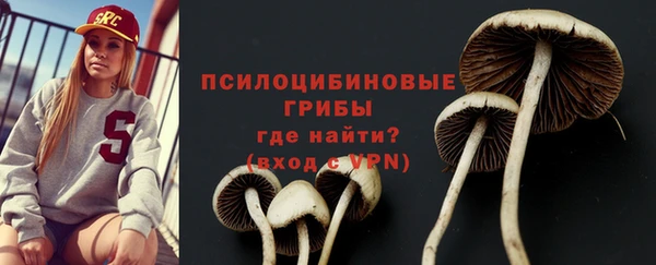 спиды Шадринск