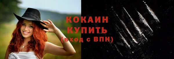 хмурый Шали