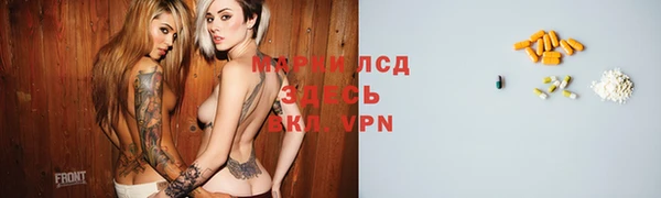 хмурый Шали