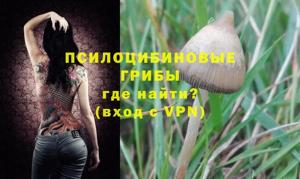 хмурый Шали