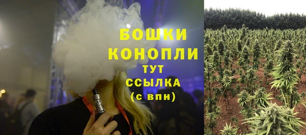 спиды Шадринск