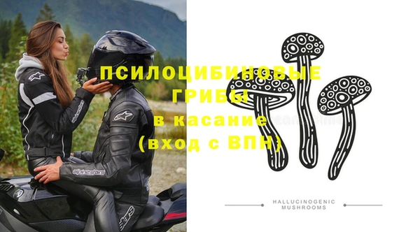 хмурый Шали