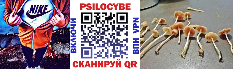 Псилоцибиновые грибы MAGIC MUSHROOMS  Электроугли 